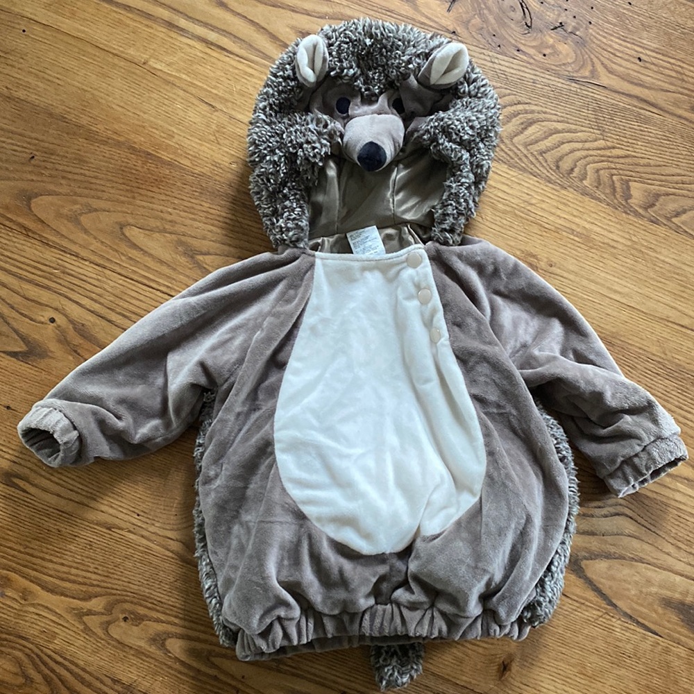 Toddler Halloween Costume- Hedgehog
